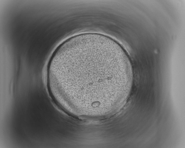 X0000101701519200807311421