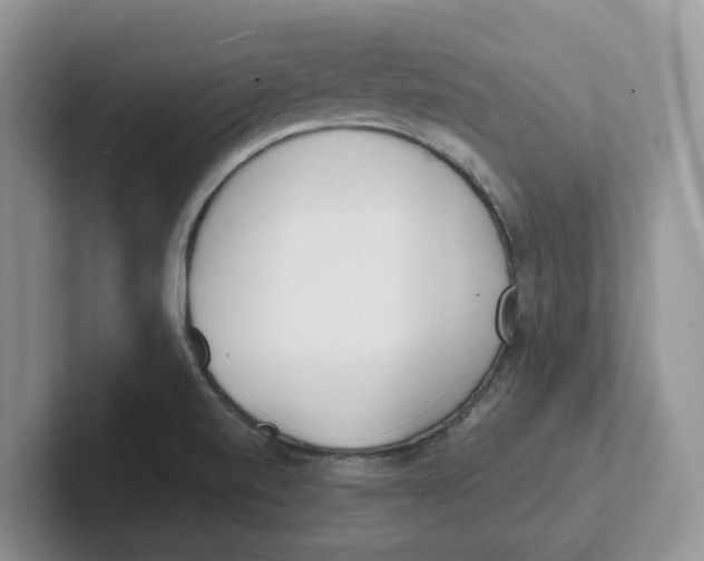 X0000101701520200807311421