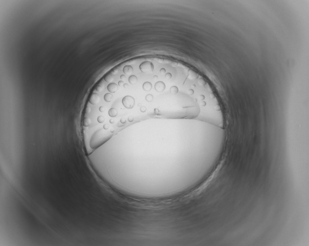 X0000101701521200807311421