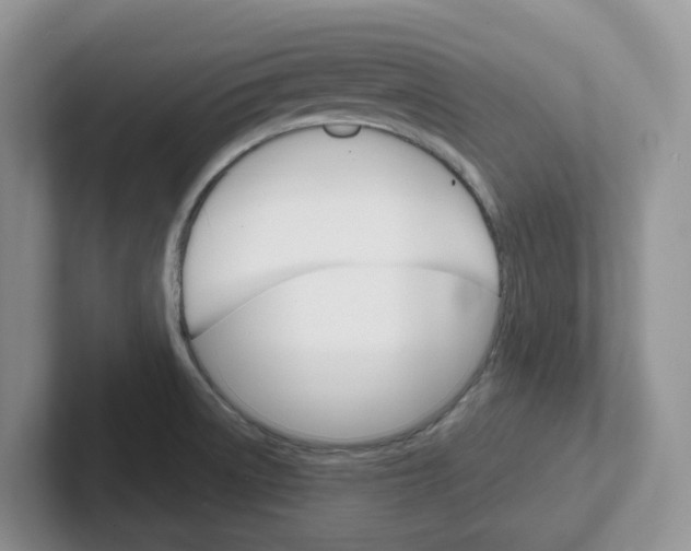 X0000101701522200807311422