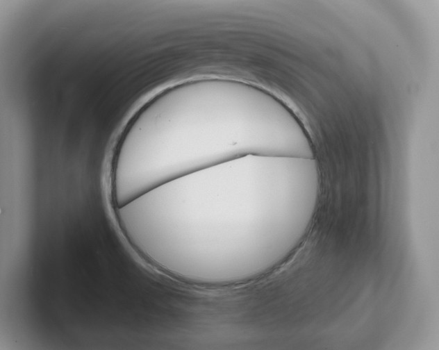 X0000101701523200807311422