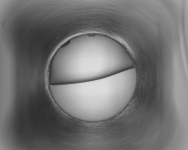 X0000101701524200807311422