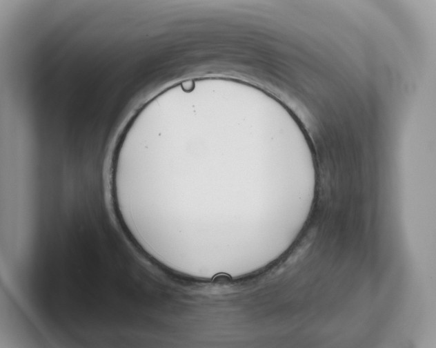 X0000101701525200807311422