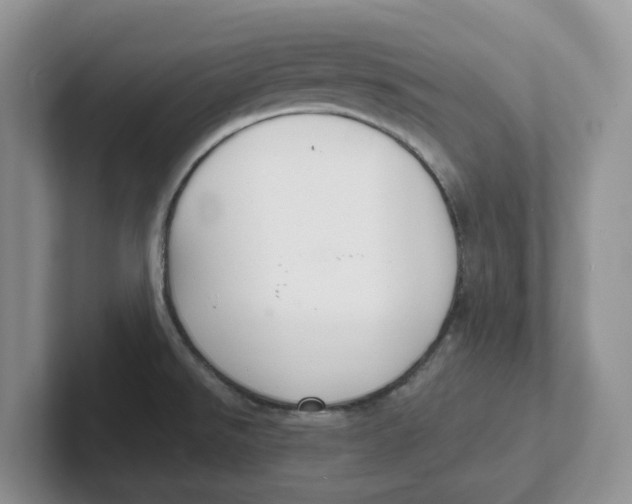 X0000101701526200807311422