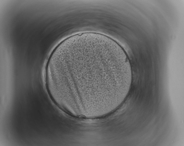 X0000101701527200807311422