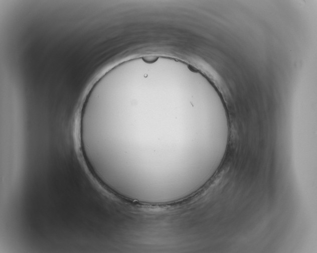 X0000101701528200807311422