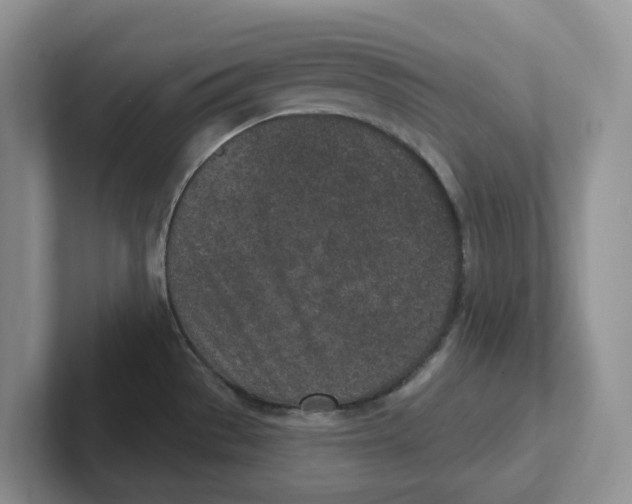 X0000101701529200807311422