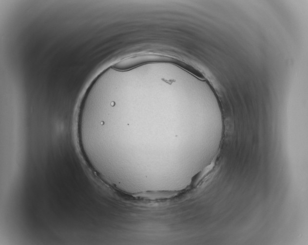 X0000101701530200807311422