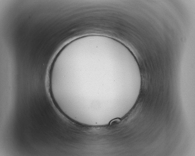 X0000101701531200807311422