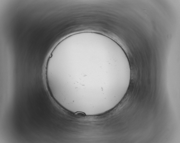 X0000101701532200807311422