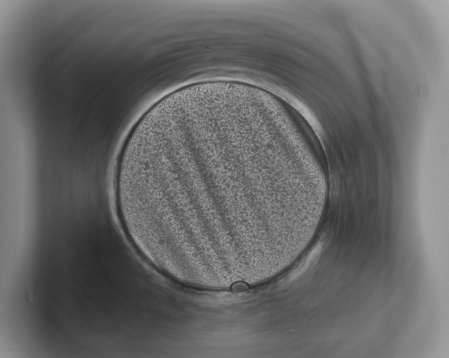 X0000101701533200807311422