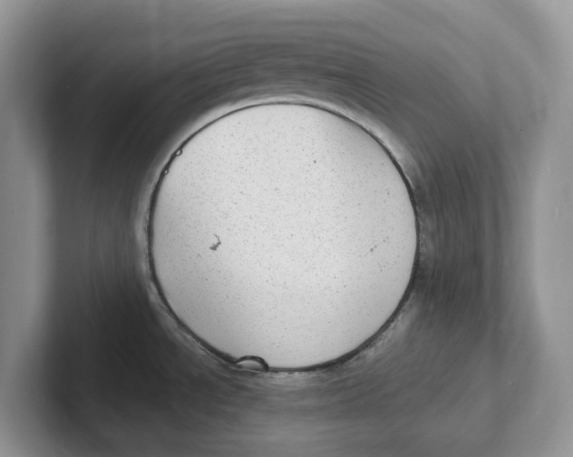 X0000101701534200807311422