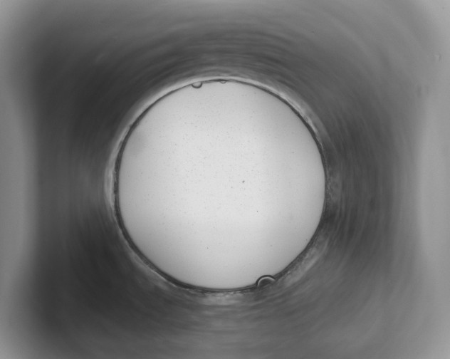 X0000101701535200807311422