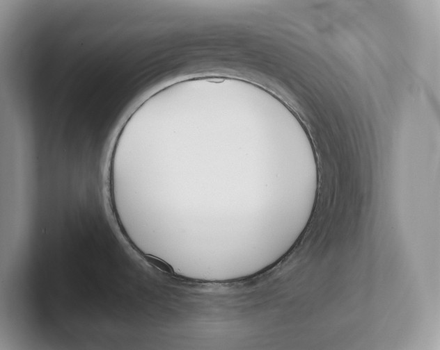 X0000101701536200807311422