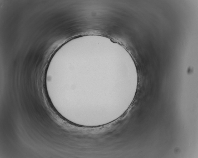 X0000101700001200808071210