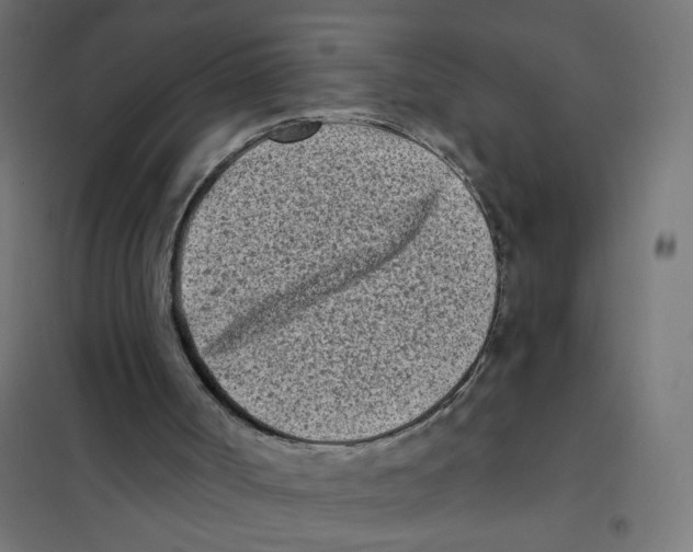 X0000101700002200808071210