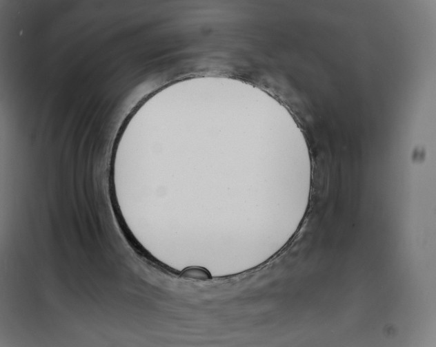 X0000101700003200808071210
