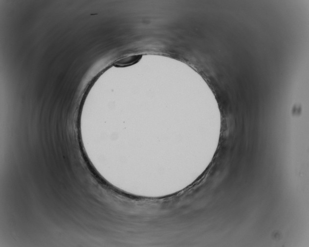 X0000101700004200808071210