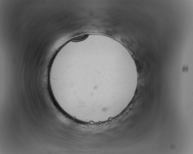 X0000101700005200808071210