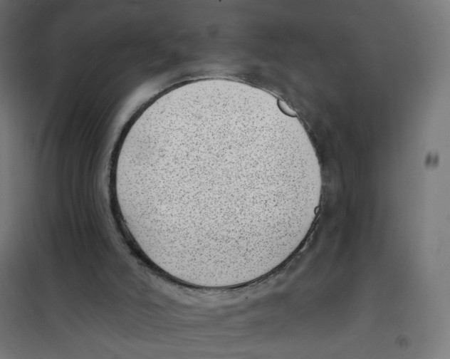 X0000101700006200808071210