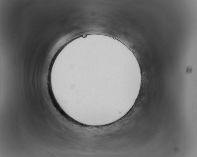 X0000101700007200808071210
