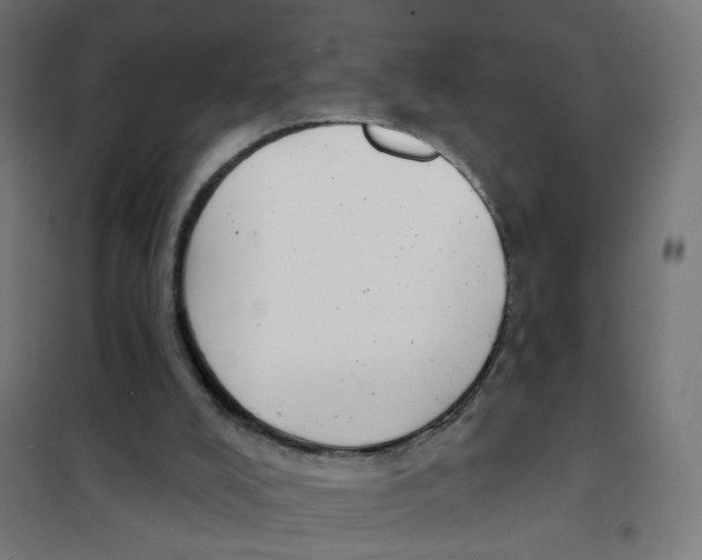 X0000101700008200808071210