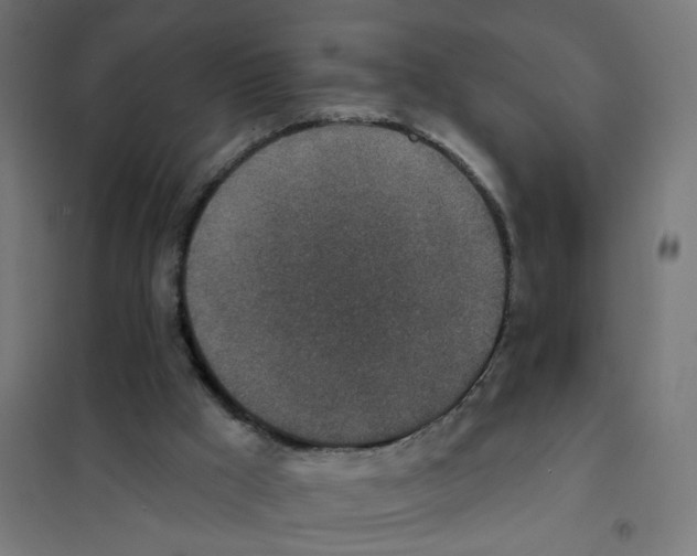X0000101700009200808071210