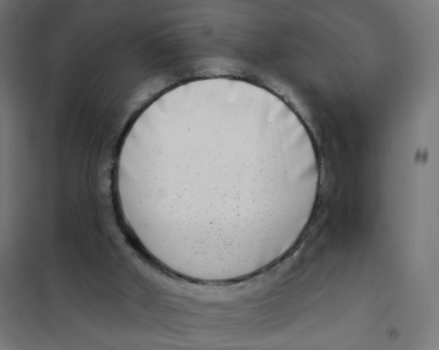 X0000101700010200808071210