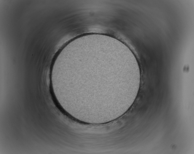 X0000101700011200808071210