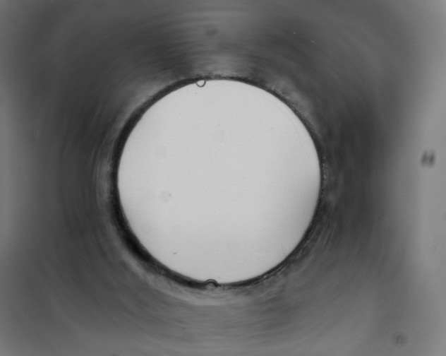 X0000101700012200808071210