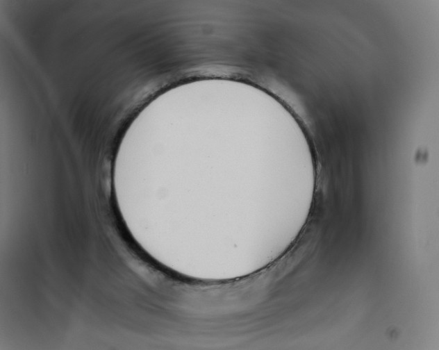 X0000101700013200808071210