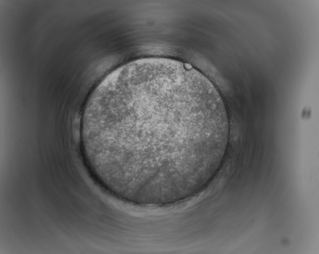X0000101700014200808071210