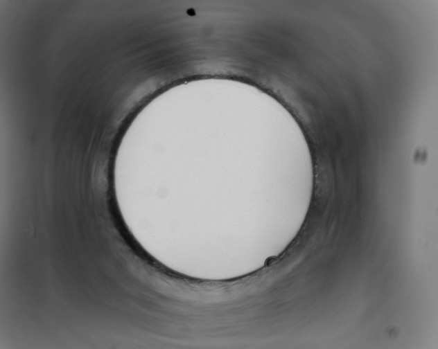 X0000101700015200808071210