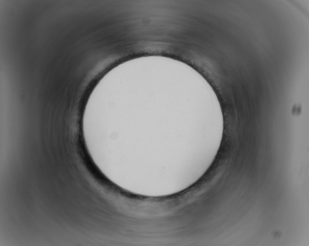 X0000101700016200808071210