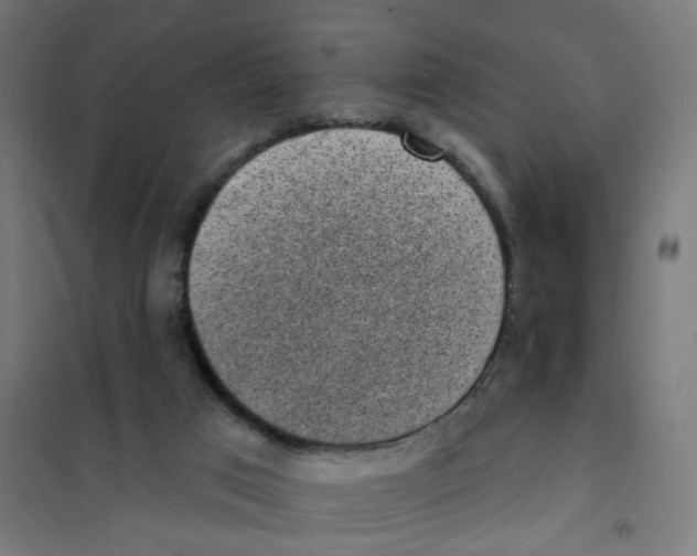 X0000101700017200808071210