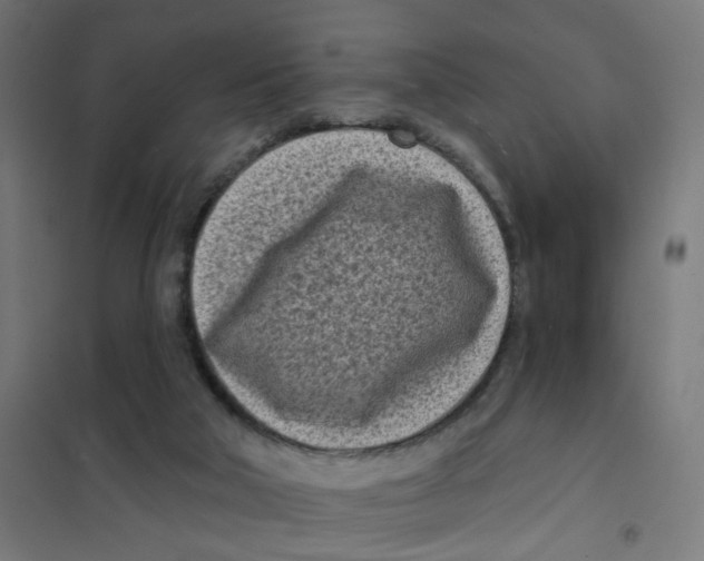 X0000101700018200808071210