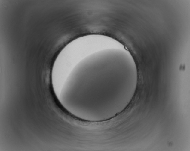 X0000101700019200808071210