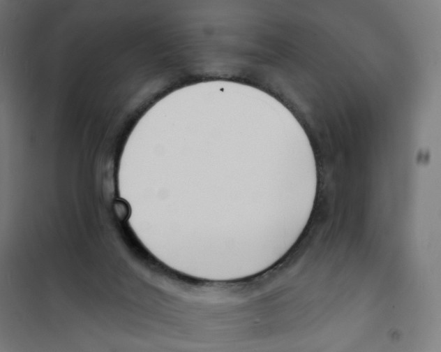X0000101700020200808071210