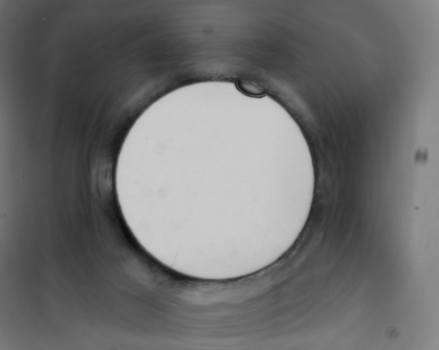 X0000101700021200808071210