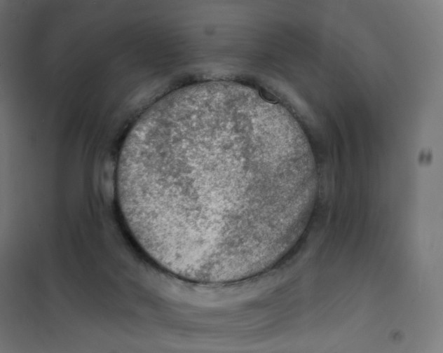 X0000101700022200808071210