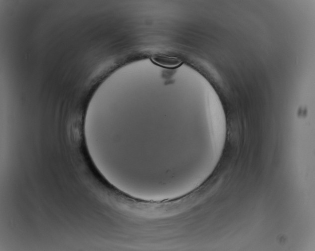 X0000101700023200808071210