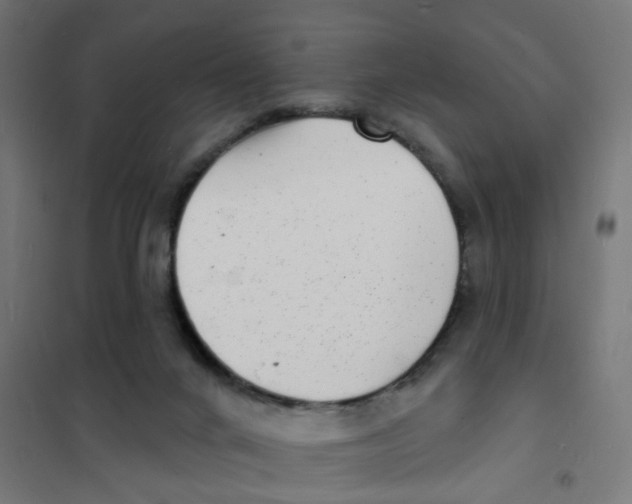 X0000101700024200808071210