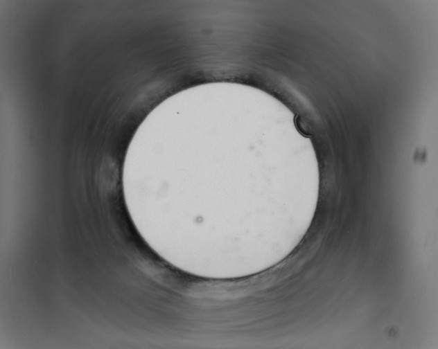 X0000101700025200808071210