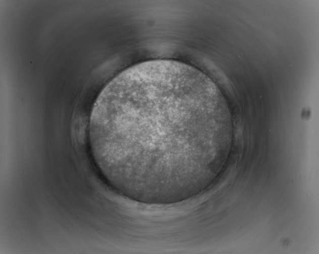X0000101700026200808071210