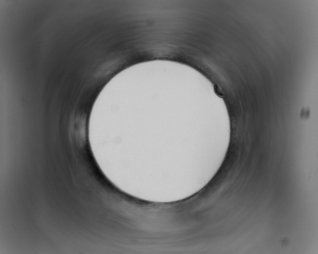 X0000101700028200808071210