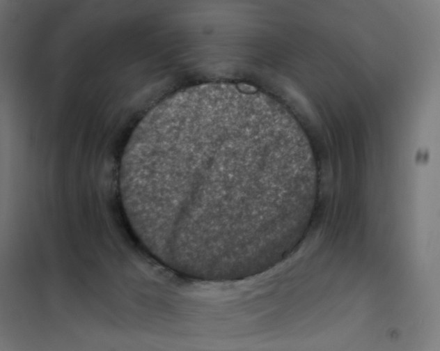 X0000101700029200808071209