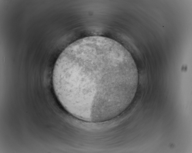 X0000101700030200808071209