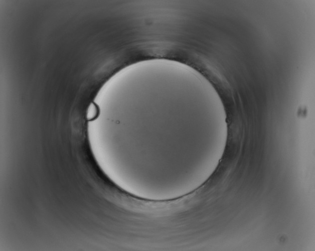 X0000101700031200808071209