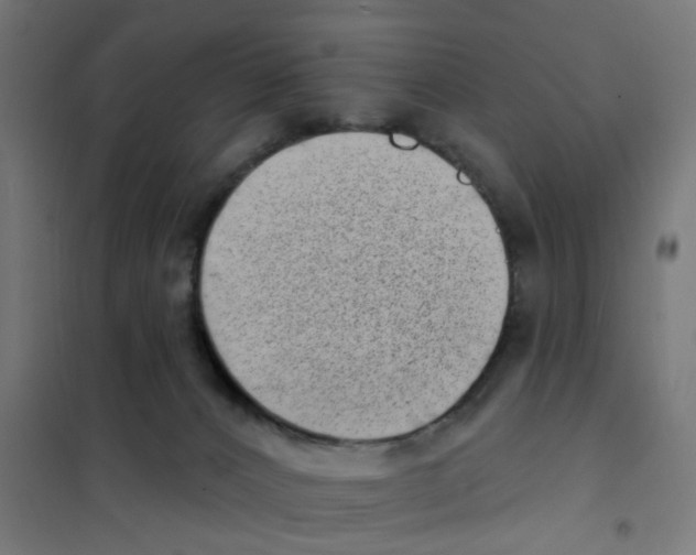 X0000101700032200808071209