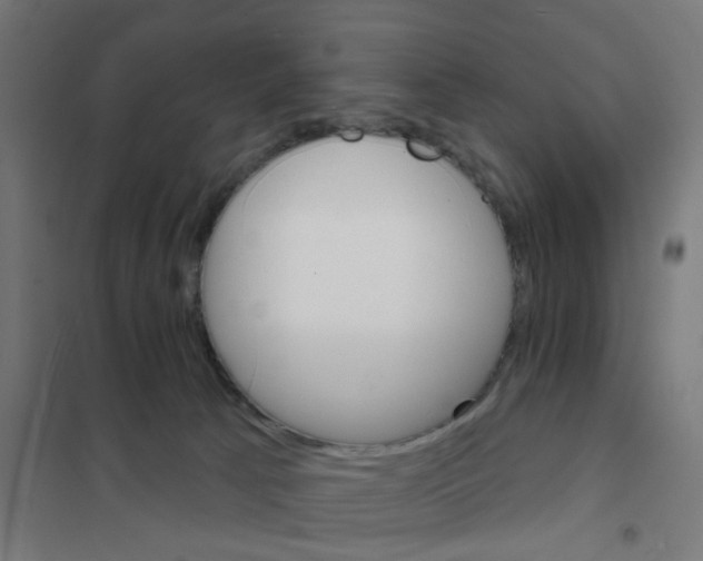 X0000101700033200808071209